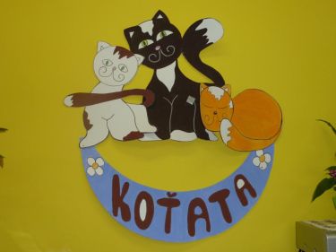 Koata - mal tda 2011