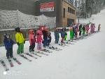 Lyask vcvik 