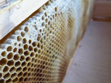 S dru�inou na n�v�t�v� u v�ela�e...