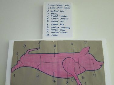 Masopust - 1. 3. 2012