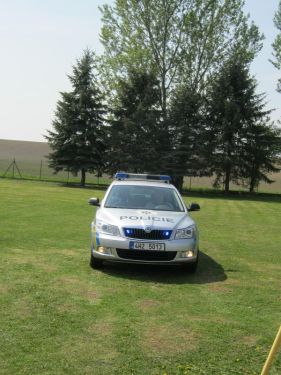 Den policie v M