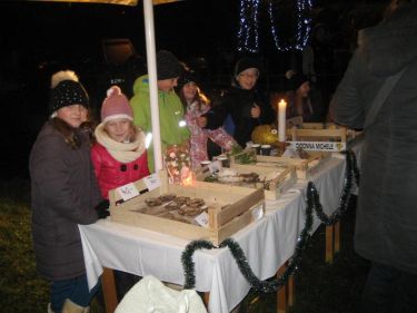 Koncert v kostele -  2013, foto Ivana Lissnikova