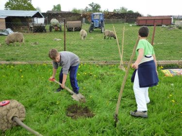 S�zen� stromu - duben 2014