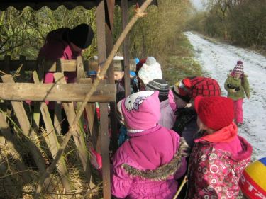 Katany pro zvtka v lese