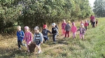Kotka poznvaj les